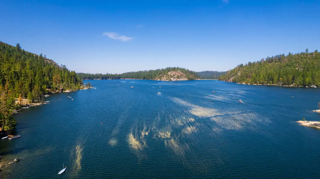 Pinecrest