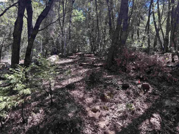 23265 Quail Dr, Twain Harte, CA 95383