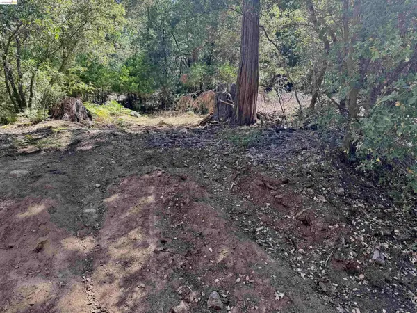 23265 Quail Dr, Twain Harte, CA 95383