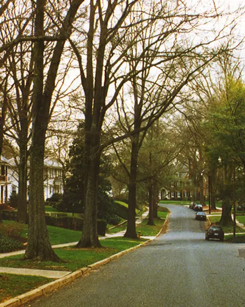 Forest Hills