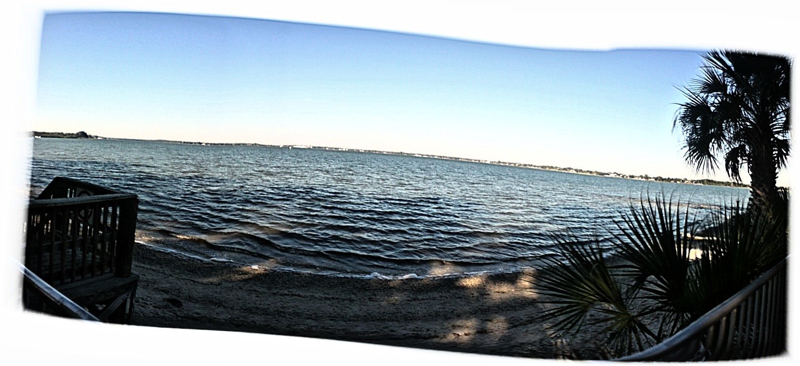 Old Tampa Bay shoreline at Philippe Park in Safety Harbor