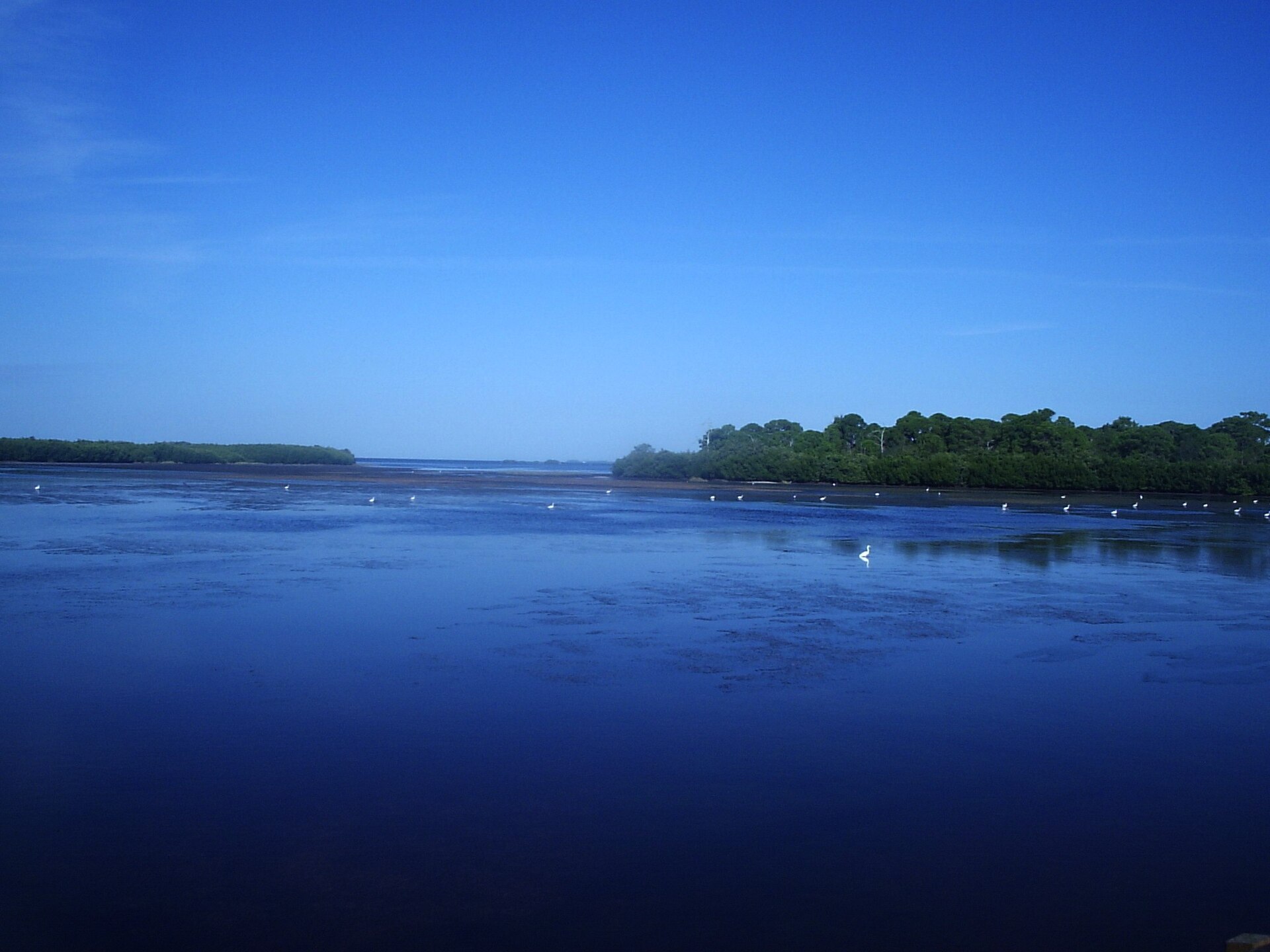 View of St. Joseph Sound from Wall Springs Park in Palm Harbor