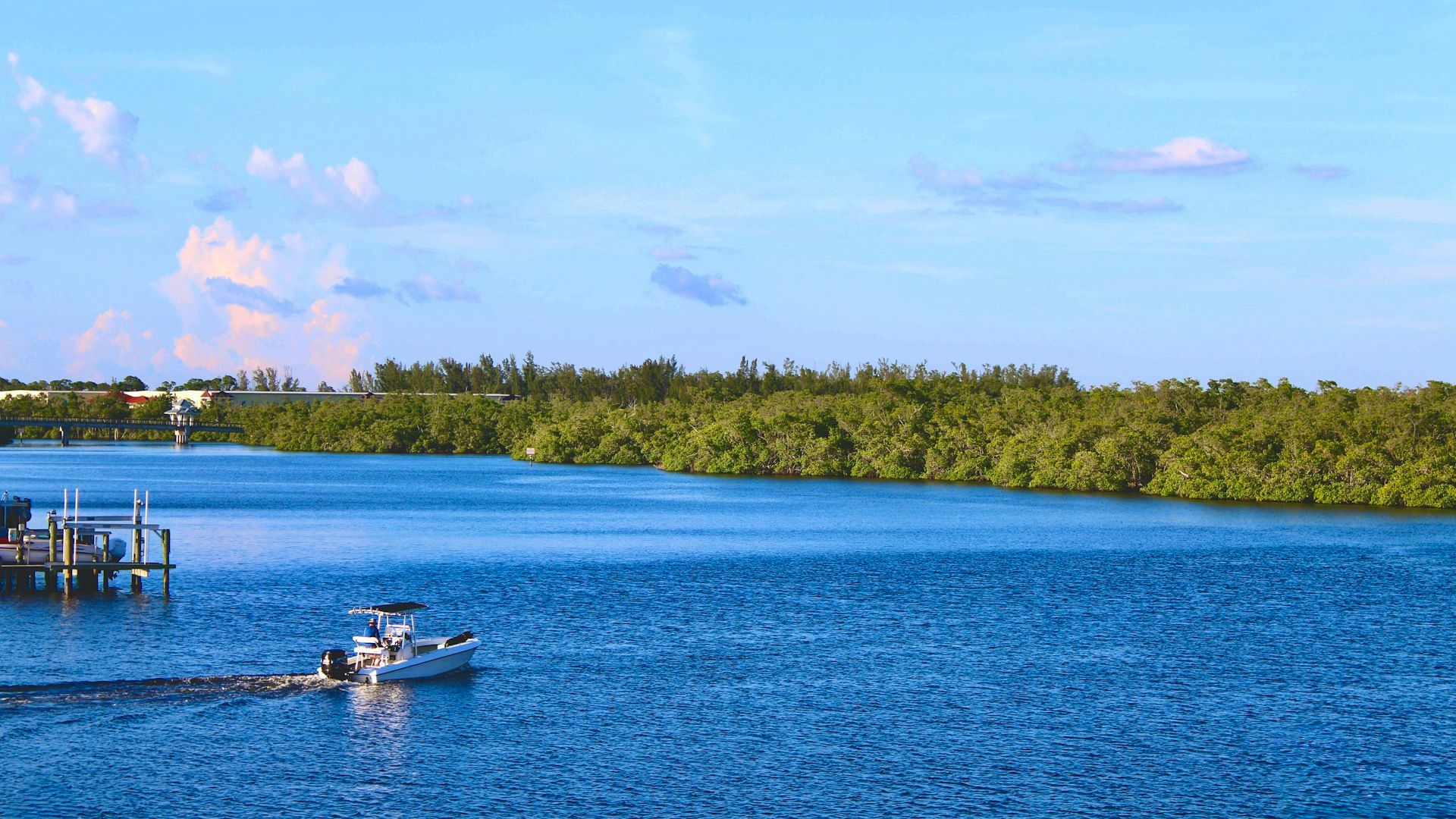 Boat on calm blue water lined with mangroves in Naples, Florida
