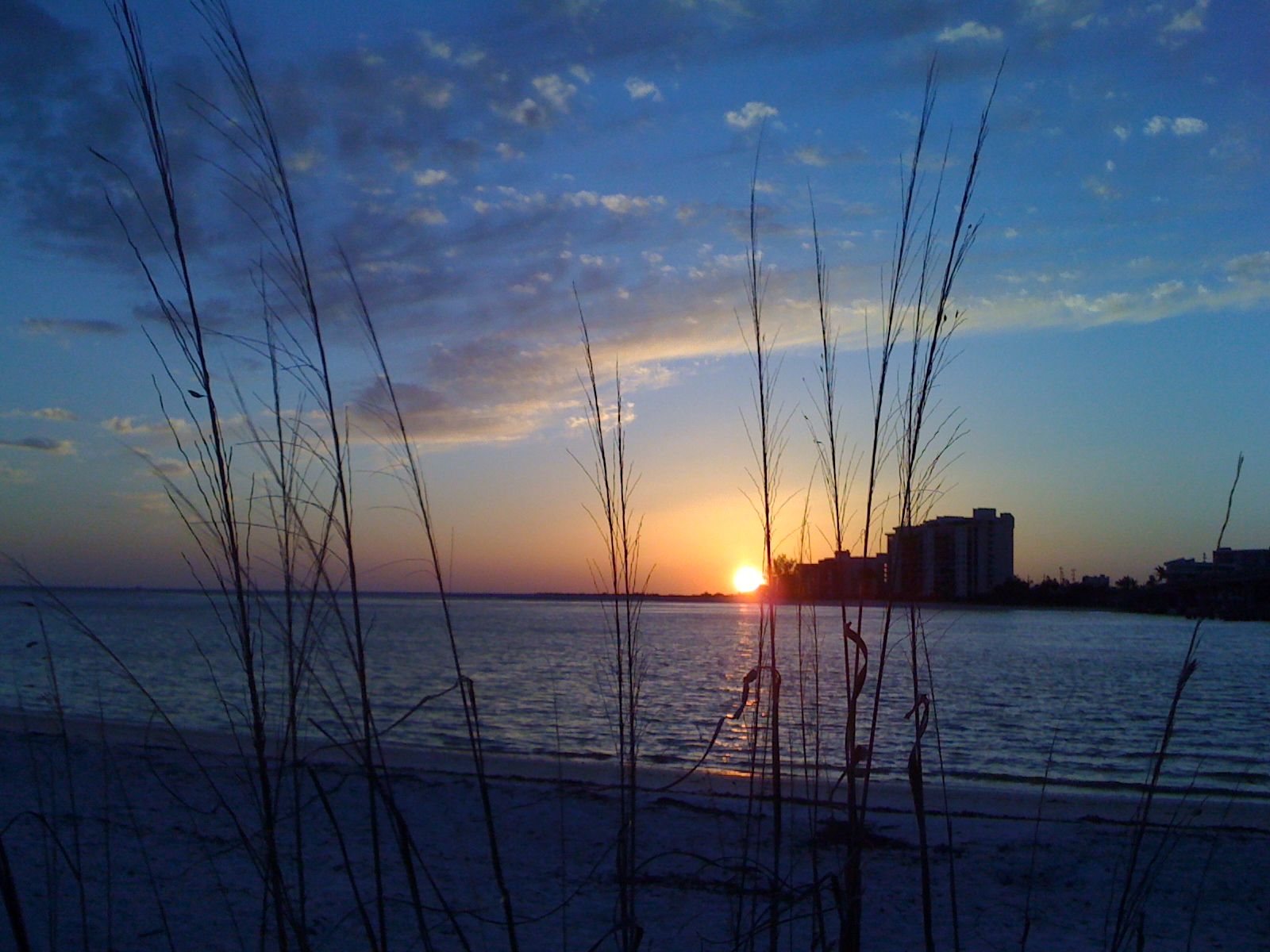Sunset over the water at Bonita Springs, Florida, seen through sea oats