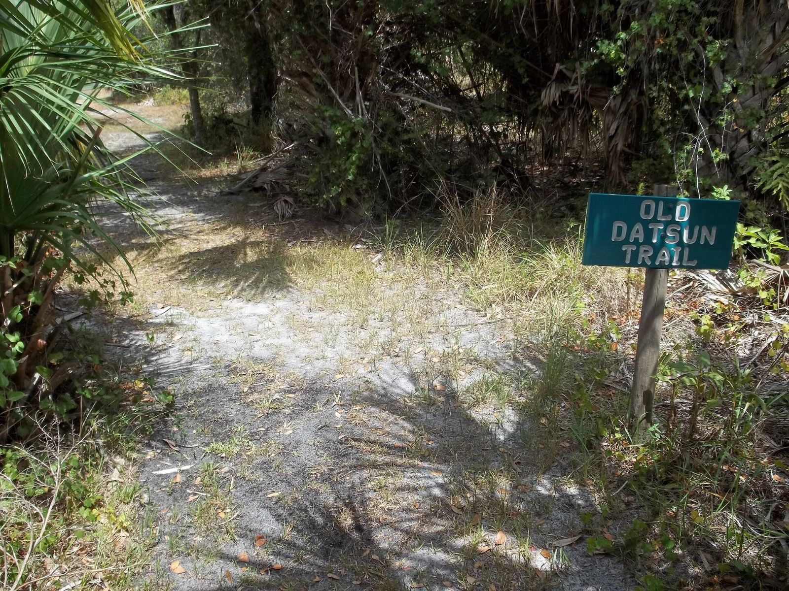 A sandy trail through native vegetation at Charlotte Harbor Preserve State Park