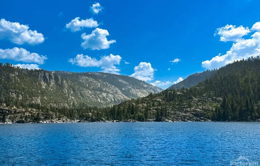 Pinecrest