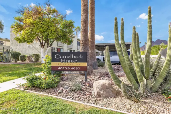 4630 N 68TH Street #248, Scottsdale, AZ 85251