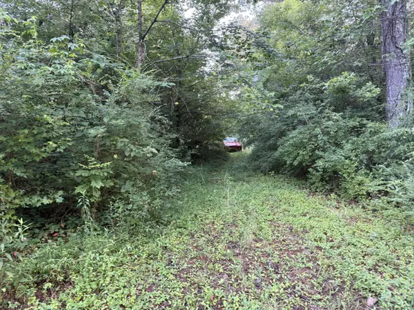 Rossville, GA 30741