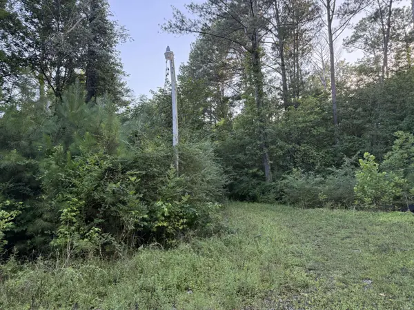 Rossville, GA 30741