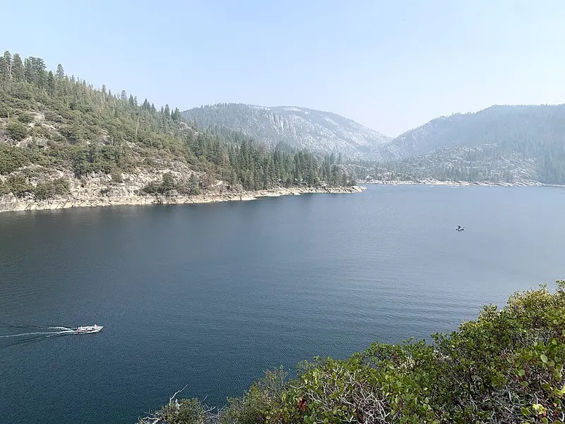 Pinecrest