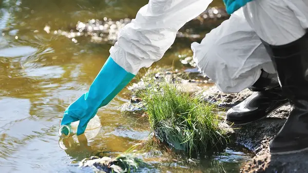 feature image of Environmental Issues