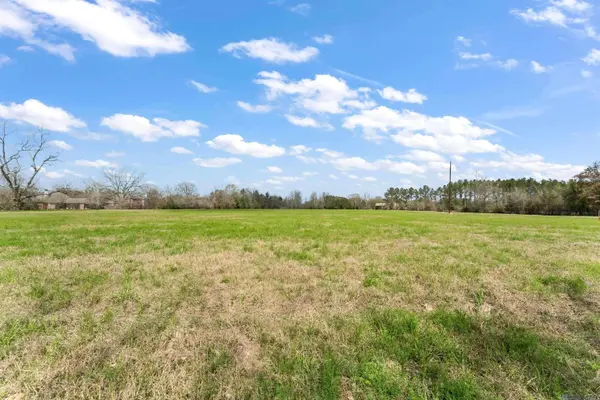 Lot C-8-B Pride Port Hudson Rd, Zachary, LA 70791