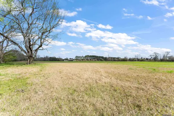 Lot C-8-B Pride Port Hudson Rd, Zachary, LA 70791