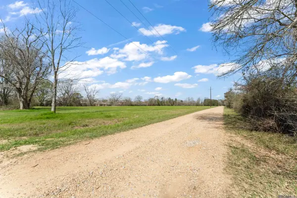 Lot C-8-B Pride Port Hudson Rd, Zachary, LA 70791