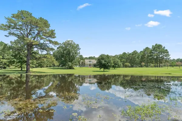 7953 Pipes Ln, Ethel, LA 70730