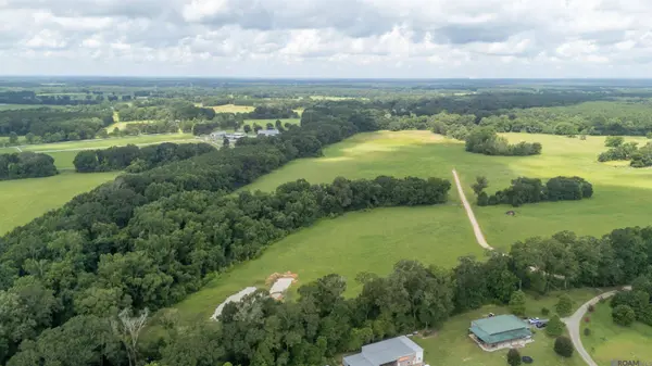 Tract C-4-D Blatt Ln, Ethel, LA 70730