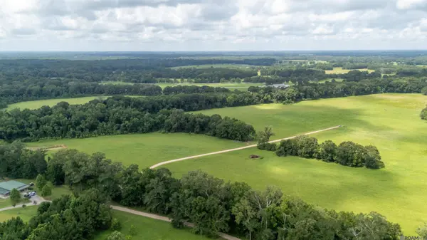 Tract C-4-D Blatt Ln, Ethel, LA 70730