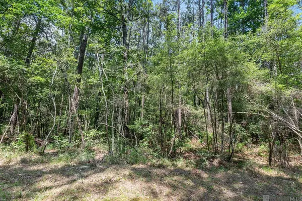 Lot 1 Pace Rd, Clinton, LA 70722
