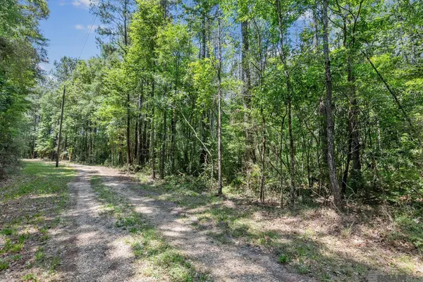 Lot 1 Pace Rd, Clinton, LA 70722
