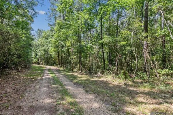 Lot 1 Pace Rd, Clinton, LA 70722