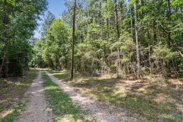 Lot 1 Pace Rd