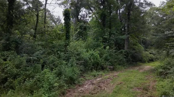TBD Highway 1043, Greensburg, LA 70441