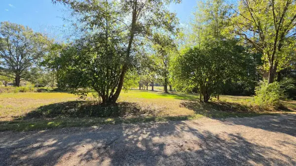 TBD Virginia St, Wilson, LA 70789