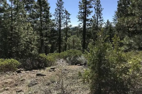 0 Falcon Road, California Pines, CA 96101