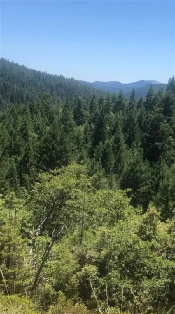 38041 State Highway 3, Weaverville, CA 96052