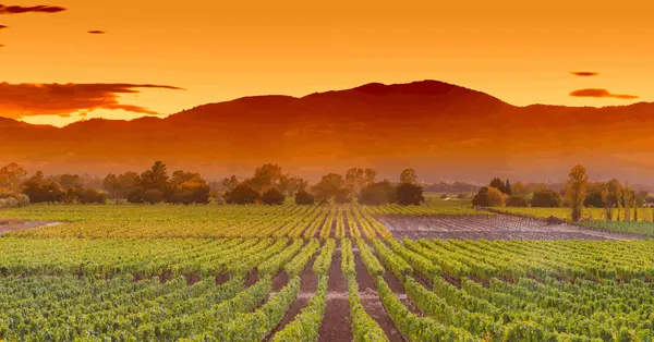 Central Valley