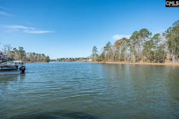 180 Palm Street, Chapin, SC 29036