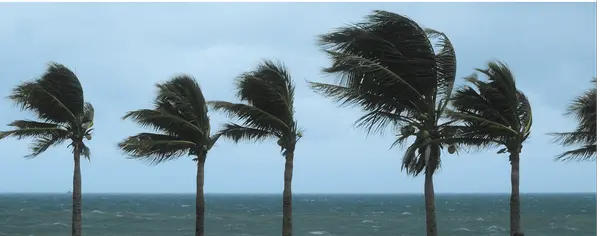 How to Prepare Your Home for Hurricane Season – Tips and Checklists for Homeowners