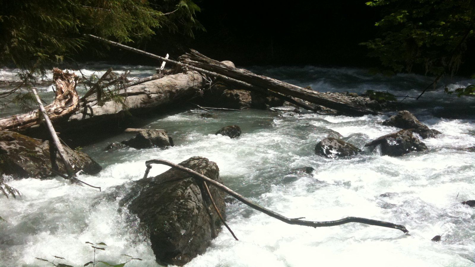 The North Fork of the Nooksack River rushing past boulders and fallen logs near the Horseshoe Bend Trail in eastern Whatcom County.