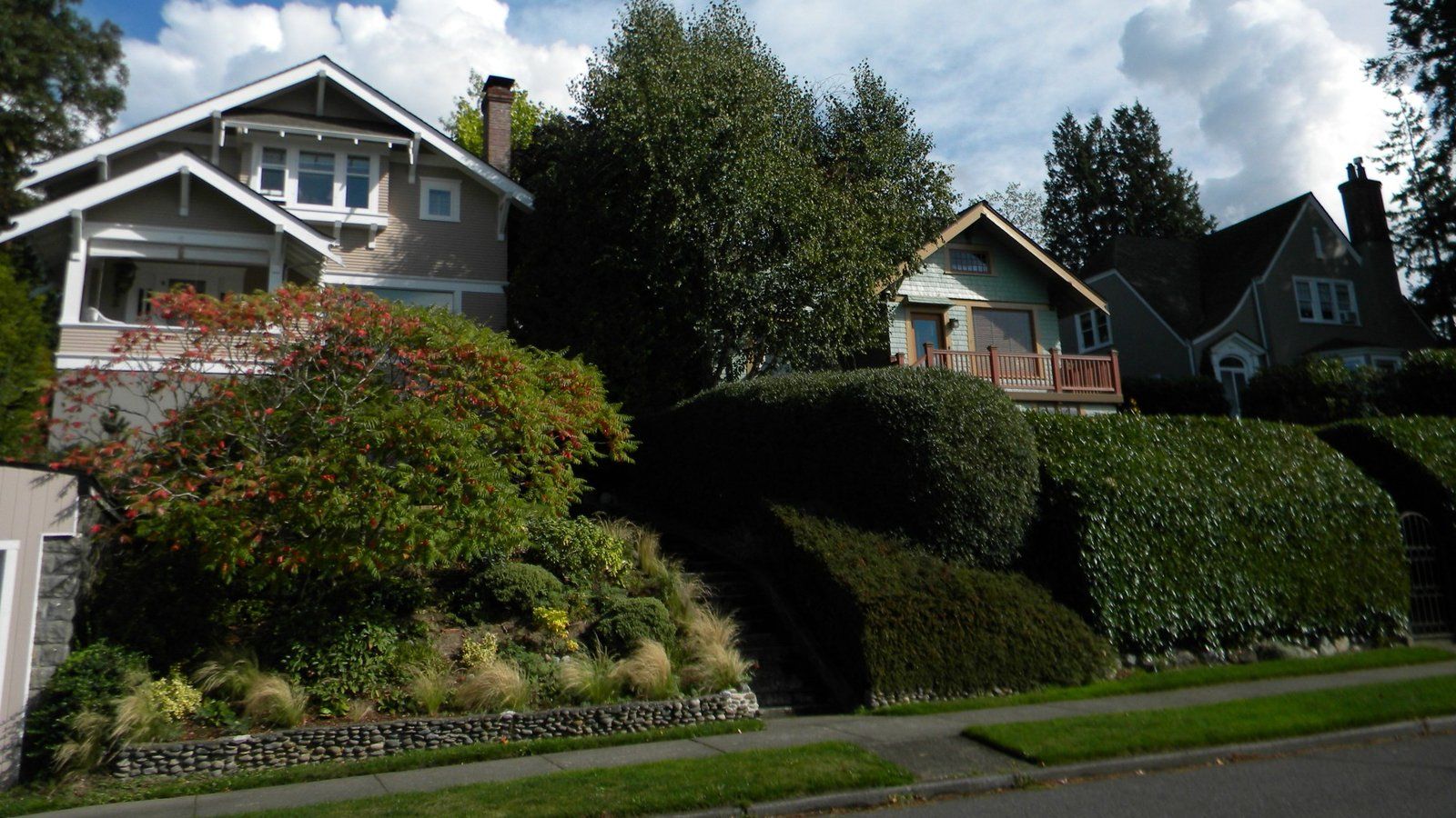 Craftsman homes above stone retaining walls and gardens on a quiet street in Bellingham's South Hill neighborhood.