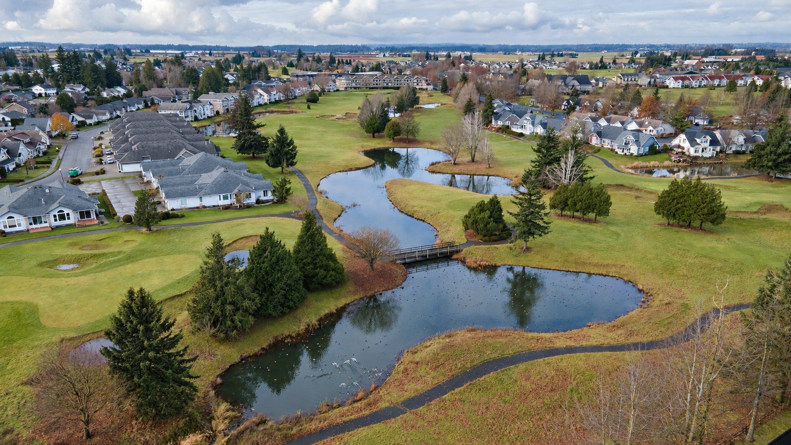 Aerial view of the Homestead community in Lynden, with the closed golf course, winding ponds and surrounding homes.