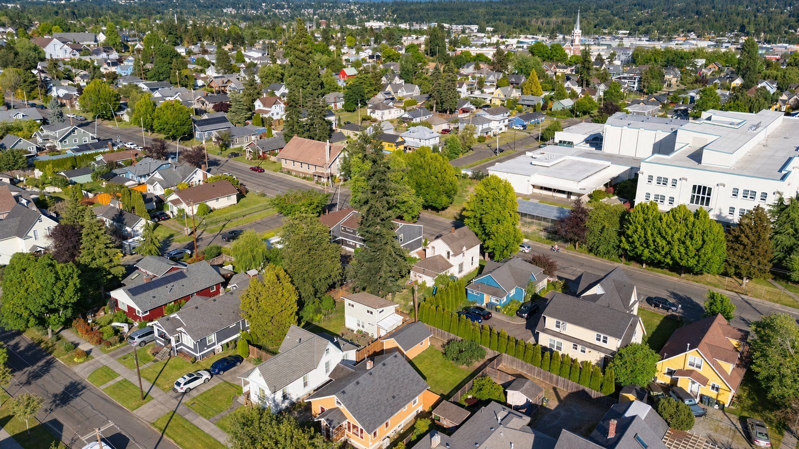 Aerial view over older homes and leafy blocks in Bellingham's Lettered Streets neighborhood, looking toward downtown.
