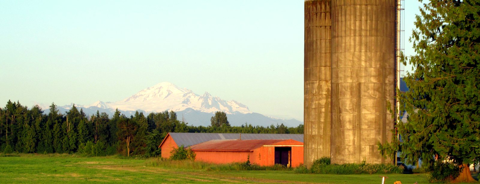 Farmland, silos and a red barn with snow-capped Mount Baker near Custer, WA - homes for sale in rural Whatcom County