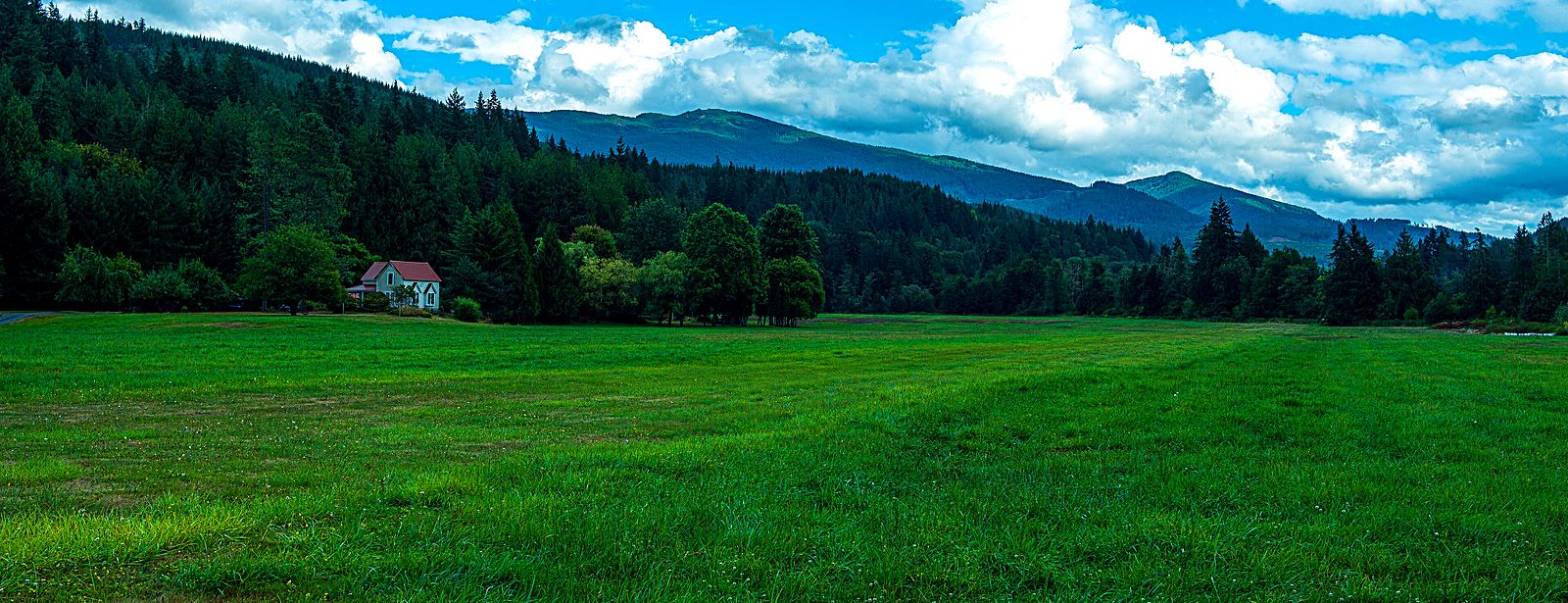 Farmhouse and pasture in the South Fork Valley near Acme, WA with forested Cascade foothills - rural homes for sale in Whatcom County