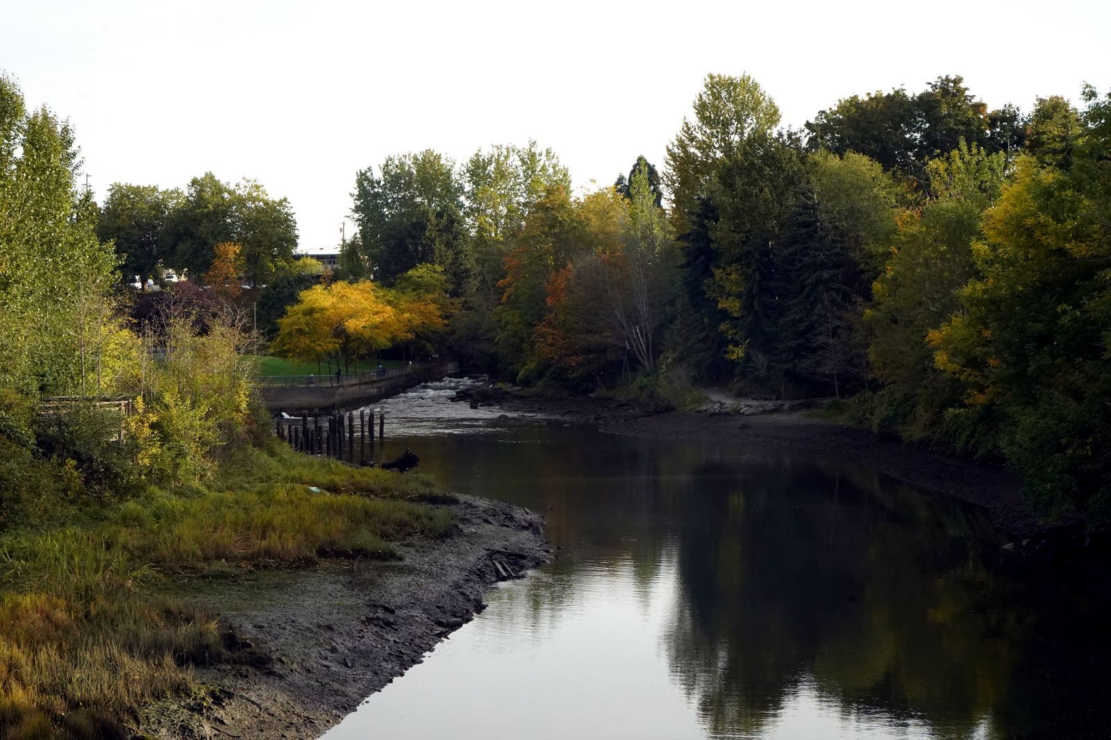Whatcom Creek at Maritime Heritage Park, the southern boundary of the Lettered Streets neighborhood in Bellingham WA