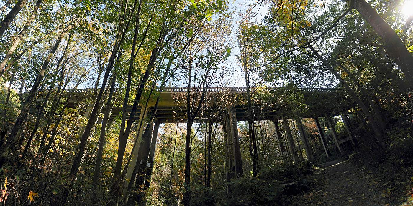 The Padden Creek Bridge seen from the Interurban Trail below Fairhaven in Bellingham WA