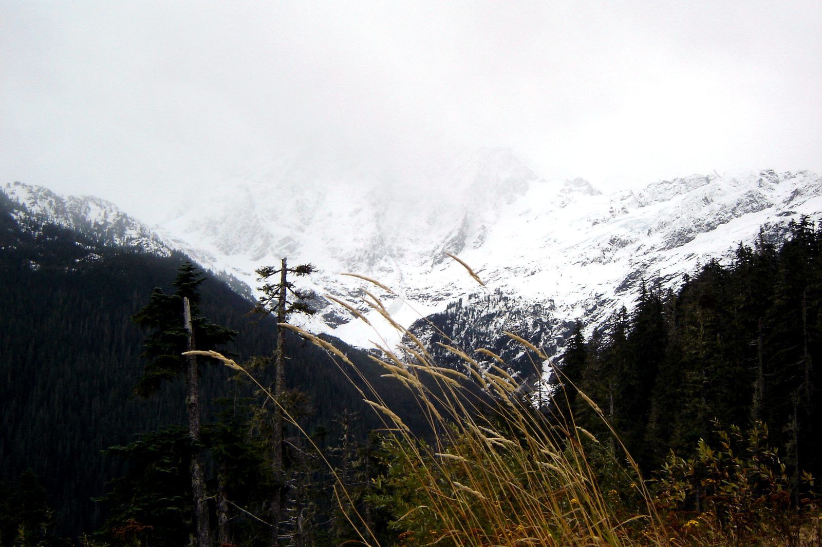 Mount Shuksan seen from the Mount Baker Ski Area east of Bellingham, WA
