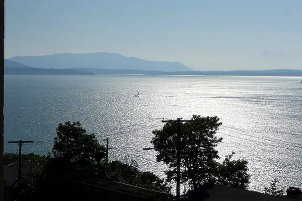 South Hill, Bellingham WA: A Local Agent's Neighborhood Guide,Tommy Mutchler