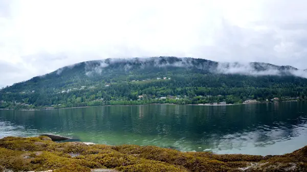 feature image of Edgemoor, Bellingham WA: A Local Agent's Neighborhood Guide