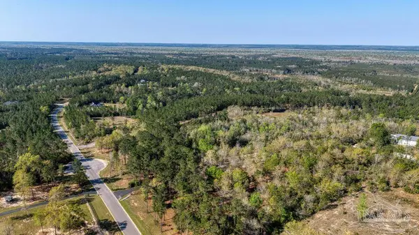 Lot 42 Buffalo Ridge Rd, Pace, FL 32571