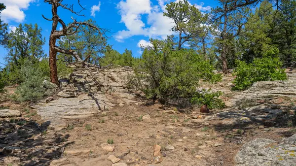 Pickney Rd, Rye, CO 81069