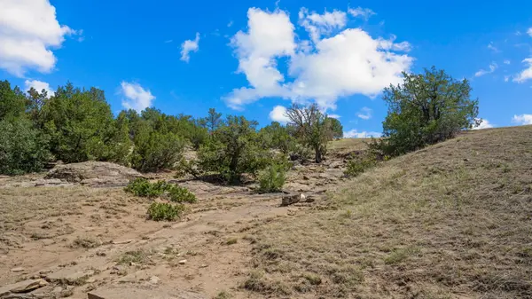 Pickney Rd, Rye, CO 81069