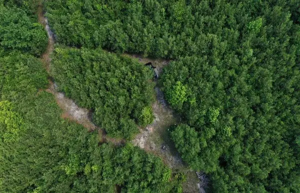 xx Hardaway Highway, Gretna, FL 32332