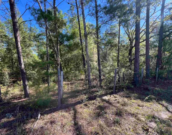 xx Old Federal Road, Quincy, FL 32351