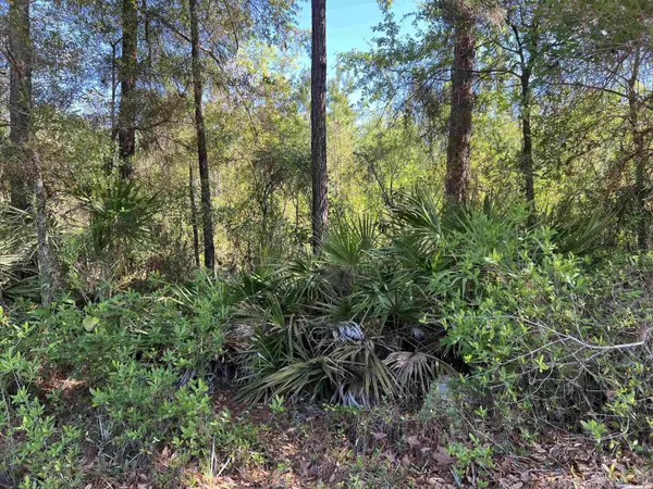 xx Old Federal Road, Quincy, FL 32351