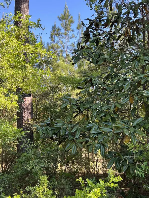 xx Old Federal Road, Quincy, FL 32351